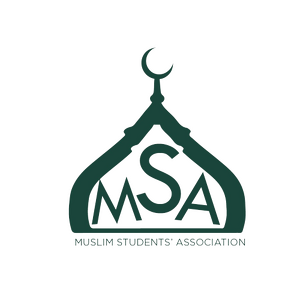 Michigan State University MSA